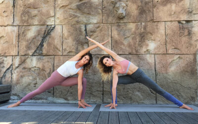 Becoming a yogi baby